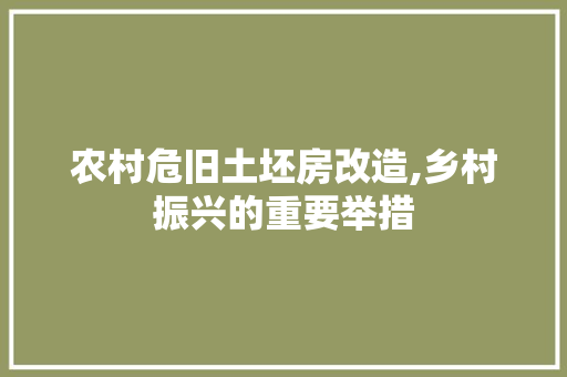 农村危旧土坯房改造,乡村振兴的重要举措 现代风格装饰