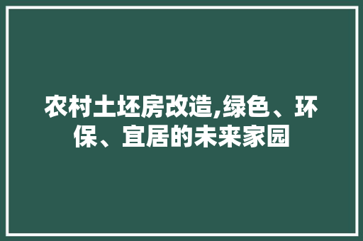 农村土坯房改造,绿色、环保、宜居的未来家园 客厅装修