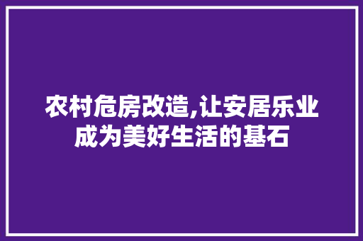 农村危房改造,让安居乐业成为美好生活的基石 木雕艺术