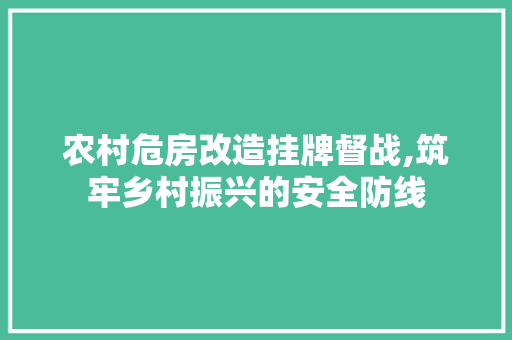 农村危房改造挂牌督战,筑牢乡村振兴的安全防线 木雕艺术