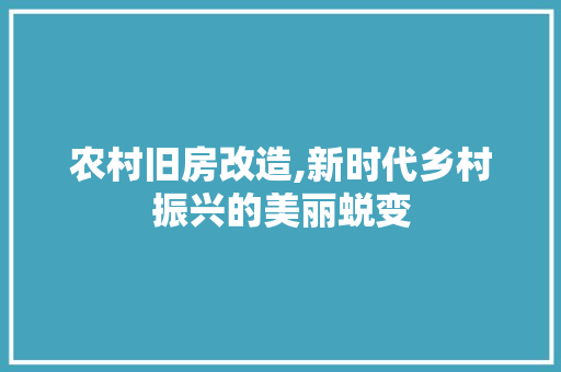 农村旧房改造,新时代乡村振兴的美丽蜕变 家居装修