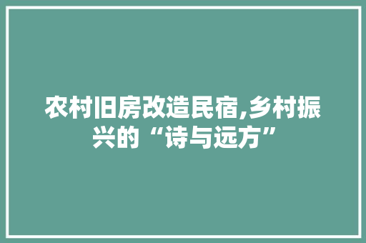 农村旧房改造民宿,乡村振兴的“诗与远方” 现代风格装饰