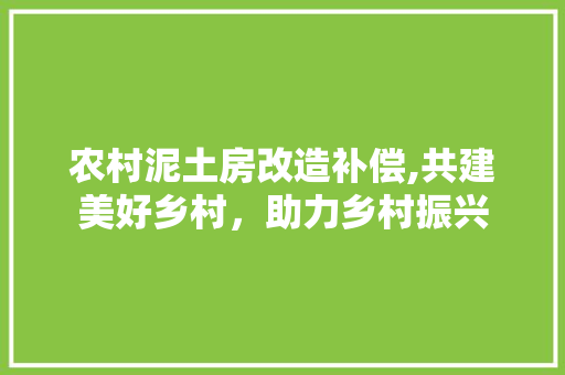 农村泥土房改造补偿,共建美好乡村，助力乡村振兴 地板材料