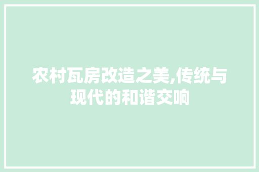 农村瓦房改造之美,传统与现代的和谐交响 木雕艺术