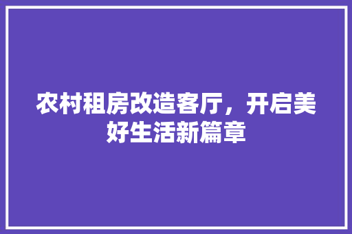 农村租房改造客厅，开启美好生活新篇章 软装设计