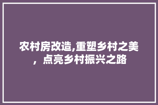 农村房改造,重塑乡村之美，点亮乡村振兴之路 卧室装修