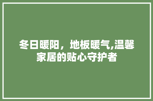 冬日暖阳，地板暖气,温馨家居的贴心守护者