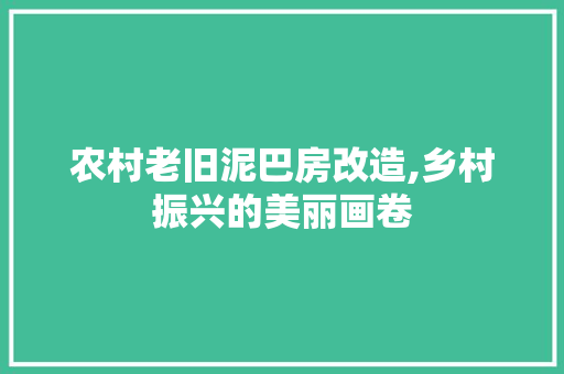 农村老旧泥巴房改造,乡村振兴的美丽画卷 室内设计