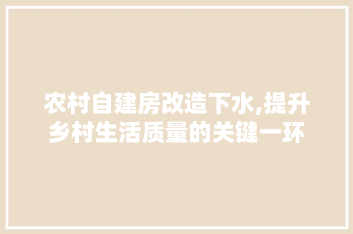 农村自建房改造下水,提升乡村生活质量的关键一环 现代风格装饰