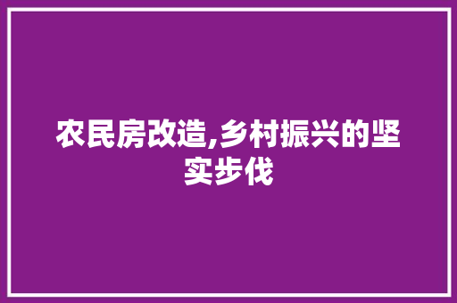 农民房改造,乡村振兴的坚实步伐