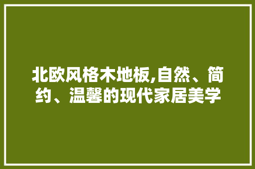 北欧风格木地板,自然、简约、温馨的现代家居美学 中式风格装饰