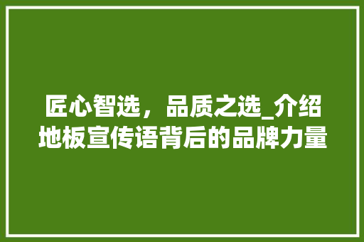 匠心智选，品质之选_介绍地板宣传语背后的品牌力量 木雕艺术