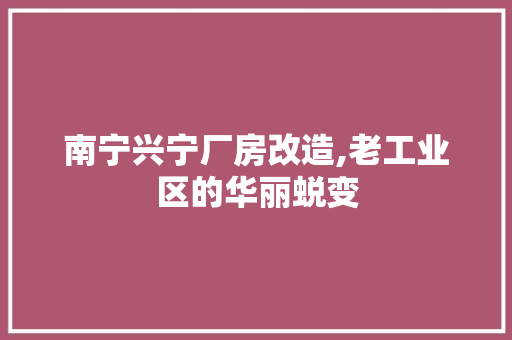 南宁兴宁厂房改造,老工业区的华丽蜕变 地板材料