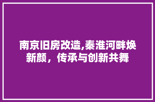 南京旧房改造,秦淮河畔焕新颜，传承与创新共舞 家居装修
