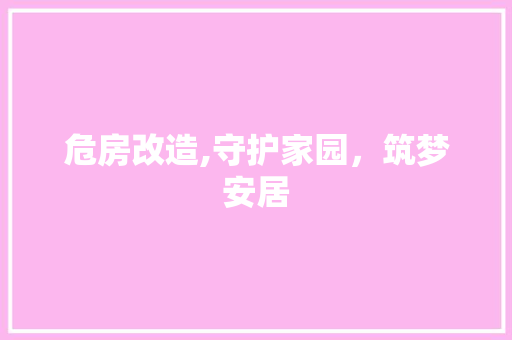 危房改造,守护家园，筑梦安居 家居装修