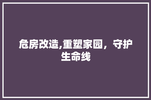 危房改造,重塑家园，守护生命线 木雕艺术