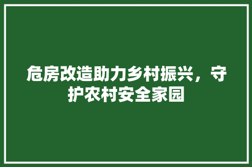 危房改造助力乡村振兴，守护农村安全家园 软装设计