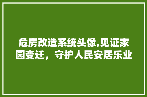 危房改造系统头像,见证家园变迁，守护人民安居乐业 中式风格装饰