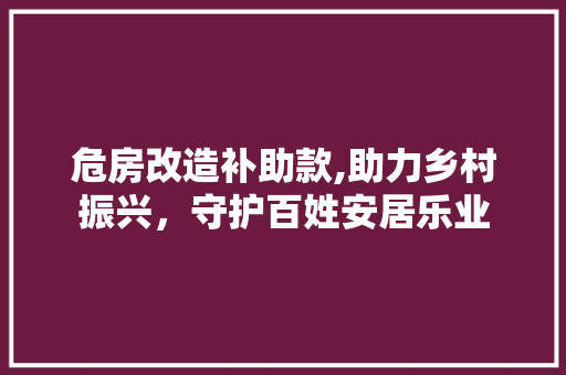 危房改造补助款,助力乡村振兴，守护百姓安居乐业 室内设计