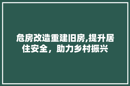 危房改造重建旧房,提升居住安全，助力乡村振兴 中式风格装饰