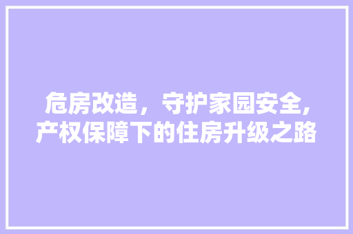 危房改造，守护家园安全,产权保障下的住房升级之路 软装设计