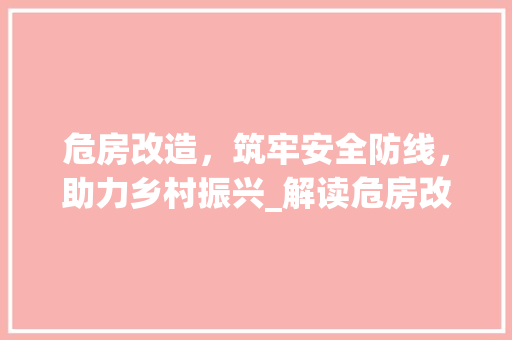 危房改造，筑牢安全防线，助力乡村振兴_解读危房改造明白卡 软装设计