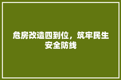 危房改造四到位，筑牢民生安全防线 室内设计