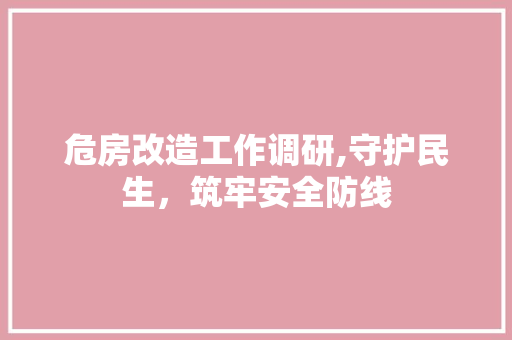 危房改造工作调研,守护民生，筑牢安全防线 地板材料