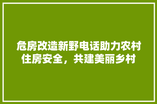 危房改造新野电话助力农村住房安全，共建美丽乡村 客厅装修