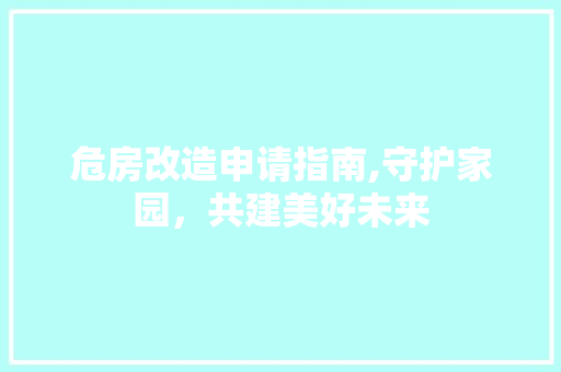 危房改造申请指南,守护家园，共建美好未来 地板材料