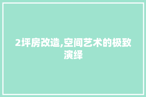 2坪房改造,空间艺术的极致演绎 客厅装修