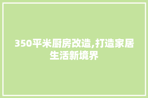 350平米厨房改造,打造家居生活新境界