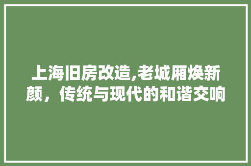 上海旧房改造,老城厢焕新颜，传统与现代的和谐交响 客厅装修