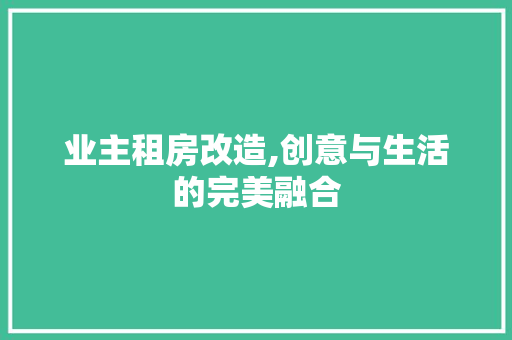 业主租房改造,创意与生活的完美融合