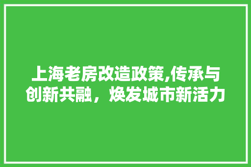 上海老房改造政策,传承与创新共融，焕发城市新活力 家居装修