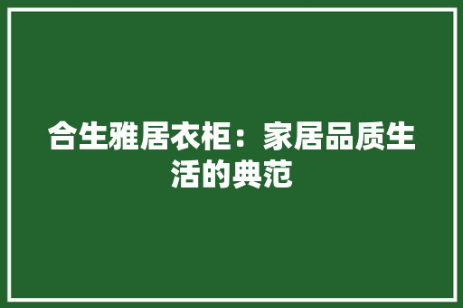 合生雅居衣柜：家居品质生活的典范