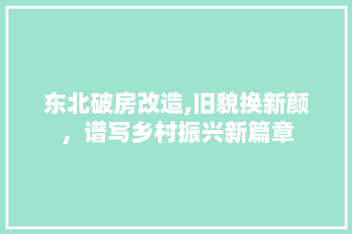 东北破房改造,旧貌换新颜，谱写乡村振兴新篇章 软装设计