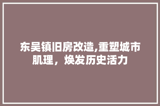 东吴镇旧房改造,重塑城市肌理，焕发历史活力