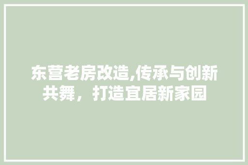 东营老房改造,传承与创新共舞，打造宜居新家园 家居装修