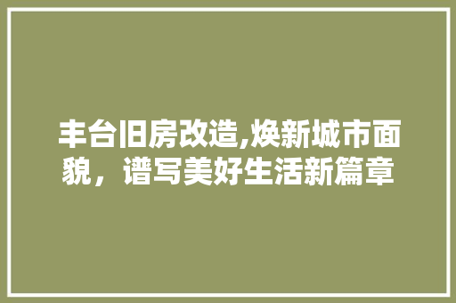 丰台旧房改造,焕新城市面貌，谱写美好生活新篇章