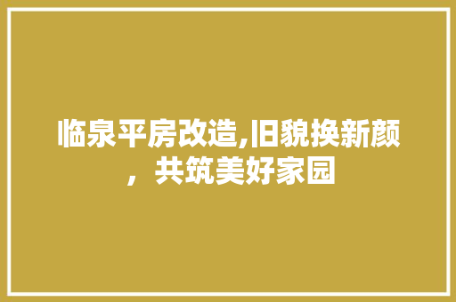 临泉平房改造,旧貌换新颜，共筑美好家园