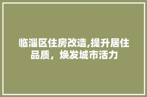 临淄区住房改造,提升居住品质，焕发城市活力 现代风格装饰