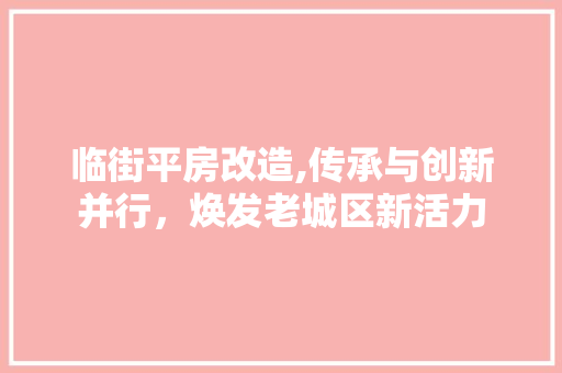 临街平房改造,传承与创新并行，焕发老城区新活力