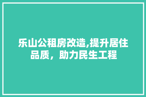 乐山公租房改造,提升居住品质，助力民生工程