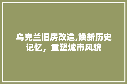 乌克兰旧房改造,焕新历史记忆，重塑城市风貌