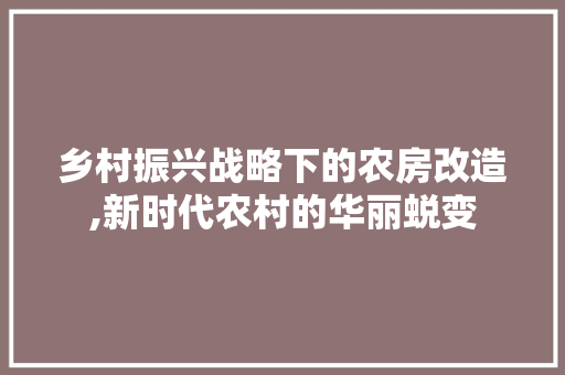 乡村振兴战略下的农房改造,新时代农村的华丽蜕变 室内设计
