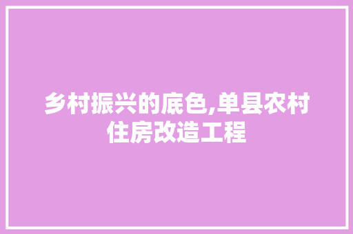 乡村振兴的底色,单县农村住房改造工程