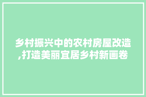 乡村振兴中的农村房屋改造,打造美丽宜居乡村新画卷 地板材料