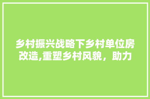 乡村振兴战略下乡村单位房改造,重塑乡村风貌，助力乡村振兴 室内设计