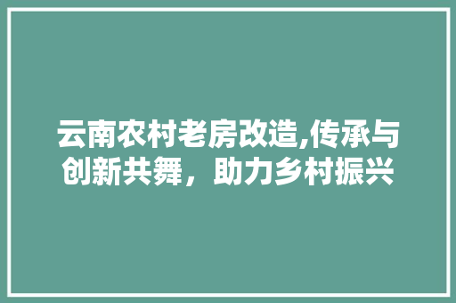 云南农村老房改造,传承与创新共舞，助力乡村振兴
